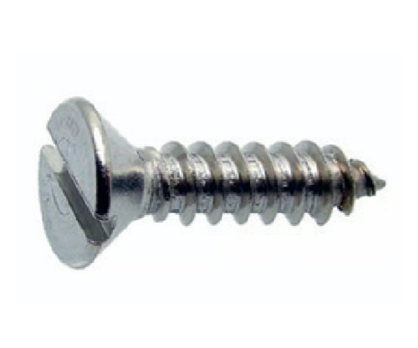 CSK Slotted Screw